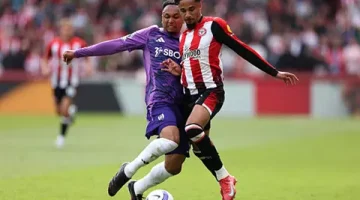 Brentford vs Fulham.. القنوات الناقلة لمباراة برينتفورد ضد فولهام الشوط الأول ومعلق المباراة في الدوري الإنجليزي 2026