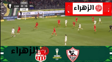 “إشارة قوية الآن”.. تردد القنوات الناقلة لمباراة الزمالك وشباب بلوزداد بث مباشر اليوم
