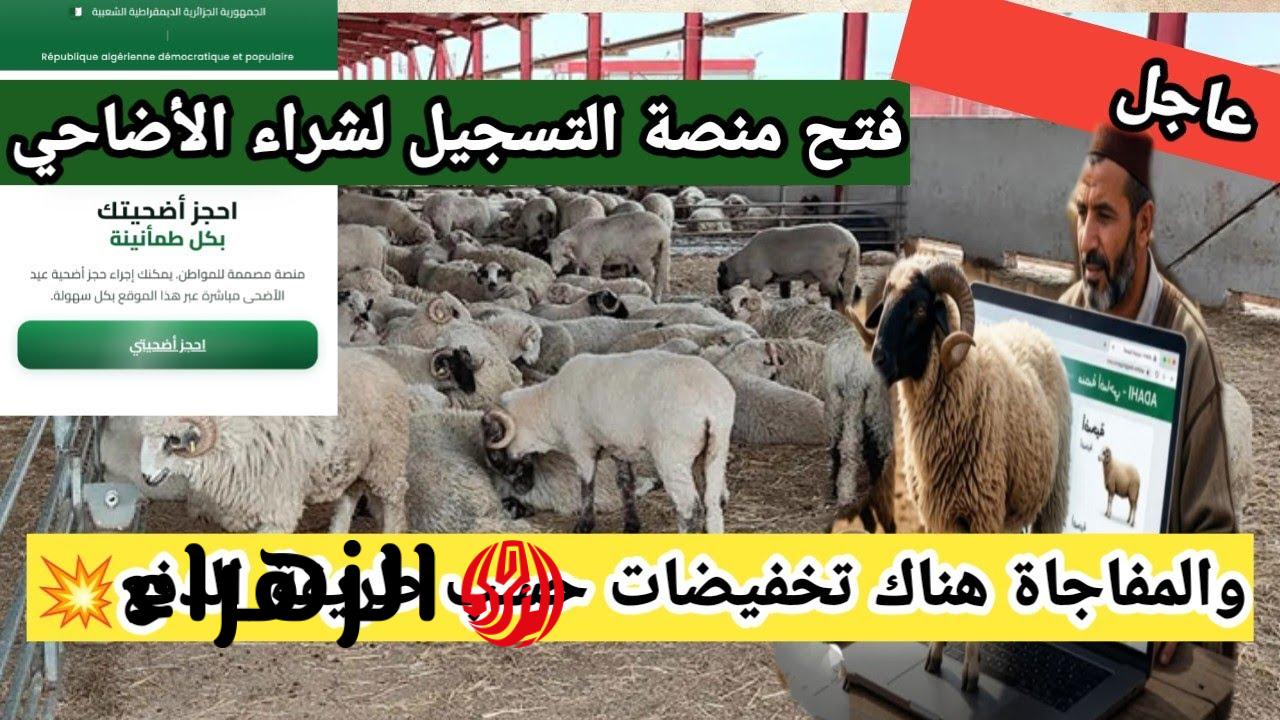 تشغيــل رابط منصة اضحية العيد 2026 Adahi dz في الجــزائر لشــراء الاضاحي بهذه الاسعــار من وزارة الفلاحة