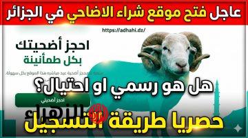 منصة اضاحي dz.. وزارة الفــلاحة تعلن تفيــل رابط adahi لحجز المواشي إلكترونيًا لعيد الأضحى اعرف الاسعار
