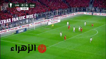 يلا شوت.. متابعة حصريآ احداث مباراة الزمالك وشباب بلوزداد في إياب ربع نهائي كأس الكونفدرالية 2026 بجودة خيالية