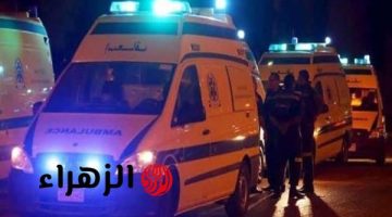 مشروب طاقة يثير القلق في الوادي الجديد بعد وفاة طفل وإصابة 5 فتيات.. ما القصة؟