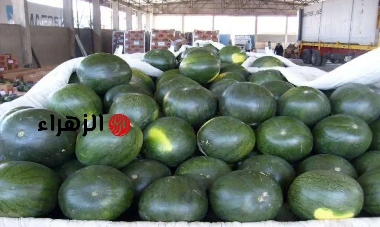 هل يوجد بطيخ مسرطن ومسموم فى الأسواق؟.. رد حاسم يحسم الجدل