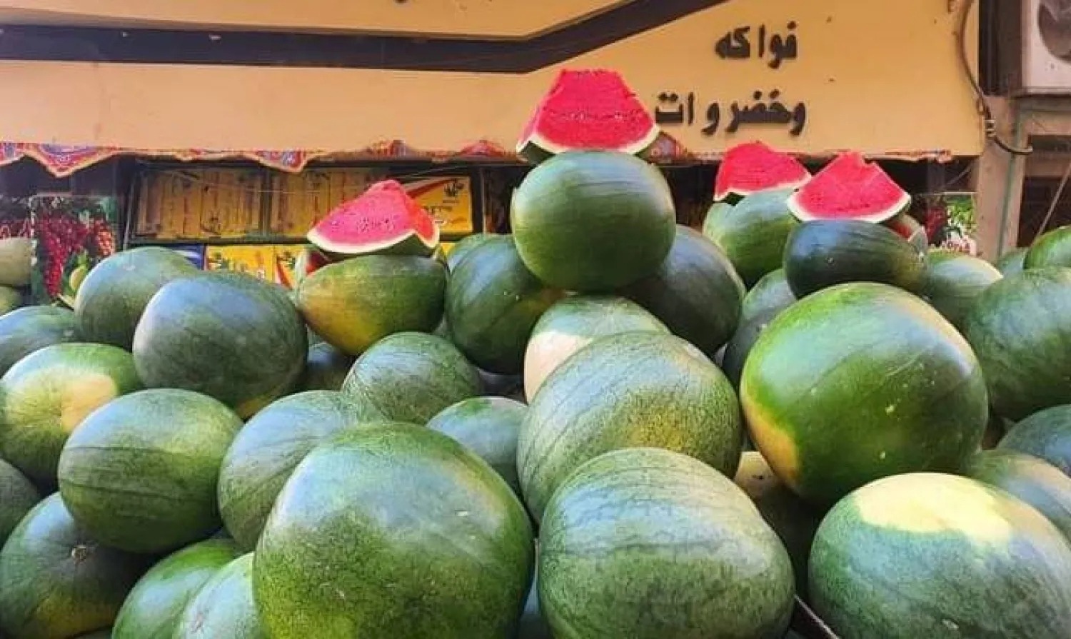 هل وصل لـ 600 جنيه؟.. أسعار البطيخ في متناول الأغنياء ونقيب الفلاحين يكشف موعد انخفاضها