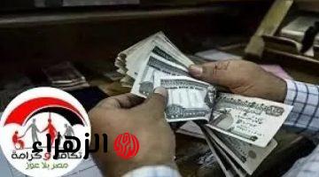 التضامن الاجتماعي يحدد موعد صرف تكافل وكرامة أبريل 2026 ويوضح خطوات الاستعلام