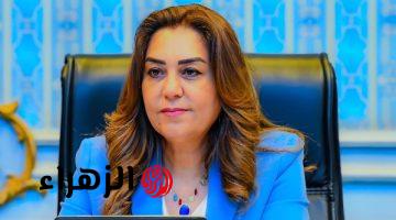 التنمية المحلية والبيئة تعلنان انتظام احتفالات شم النسيم دون رصد معوقات في المحافظات