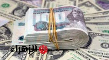 الدولار يواصل الاستقرار أمام الجنيه المصري في تعاملات البنوك اليوم