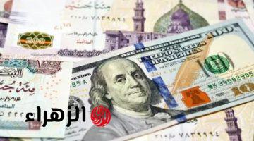 الدولار يواصل الاستقرار أمام الجنيه في البنوك المصرية اليوم