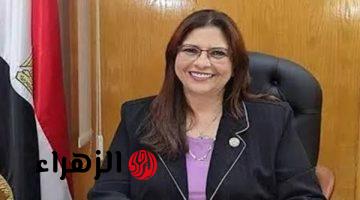 الرئيس السيسي يوجه بسرعة تقديم قوانين الأسرة
