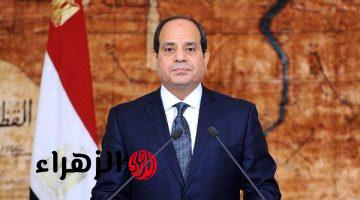 الرئيس يوجه الحكومة بالإسراع في مشروعات قوانين الأسرة للحفاظ على المجتمع
