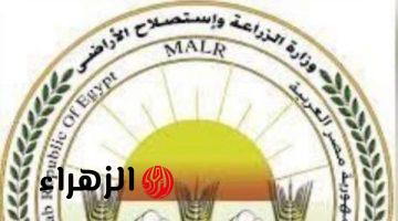 الزراعة تعلن تجهيز الحدائق وطرح سلع مخفضة وتشديد الرقابة استعدادا لشم النسيم