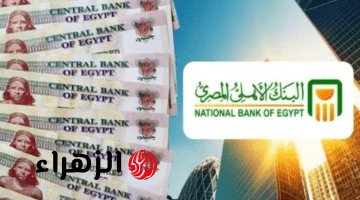 البنك الأهلي المصري يقرر رفع سعر الفائدة على الشهادات البلاتينية لتصل إلى 17.25 بالمئة