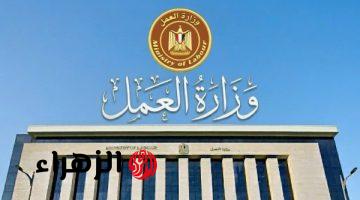 العمل تعلن التفتيش على 59 ألف منشأة والتعامل مع 3134 شكوى عمالية