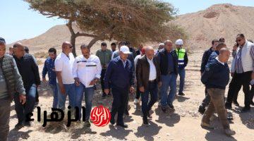 الكهرباء تدرس دمج محطات الطاقة الشمسية في مشروعات طاقة الرياح