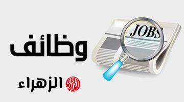 المحافظة تعلن فرص عمل جديدة برواتب تصل إلى 19 ألف جنيه
