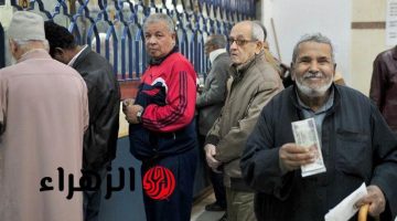 «هتوصلك رسالة على الموبايل».. التأمينات تعلن صرف حالات استحقاق المعاشات الجديدة الأسبوع المقبل
