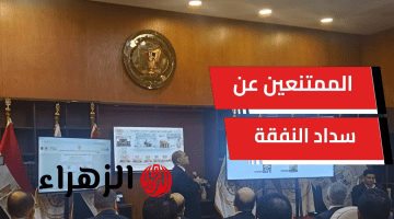 بدء تطبيق قرار تعليق الخدمات الحكومية للممتنعين عن سداد النفقة رسميا