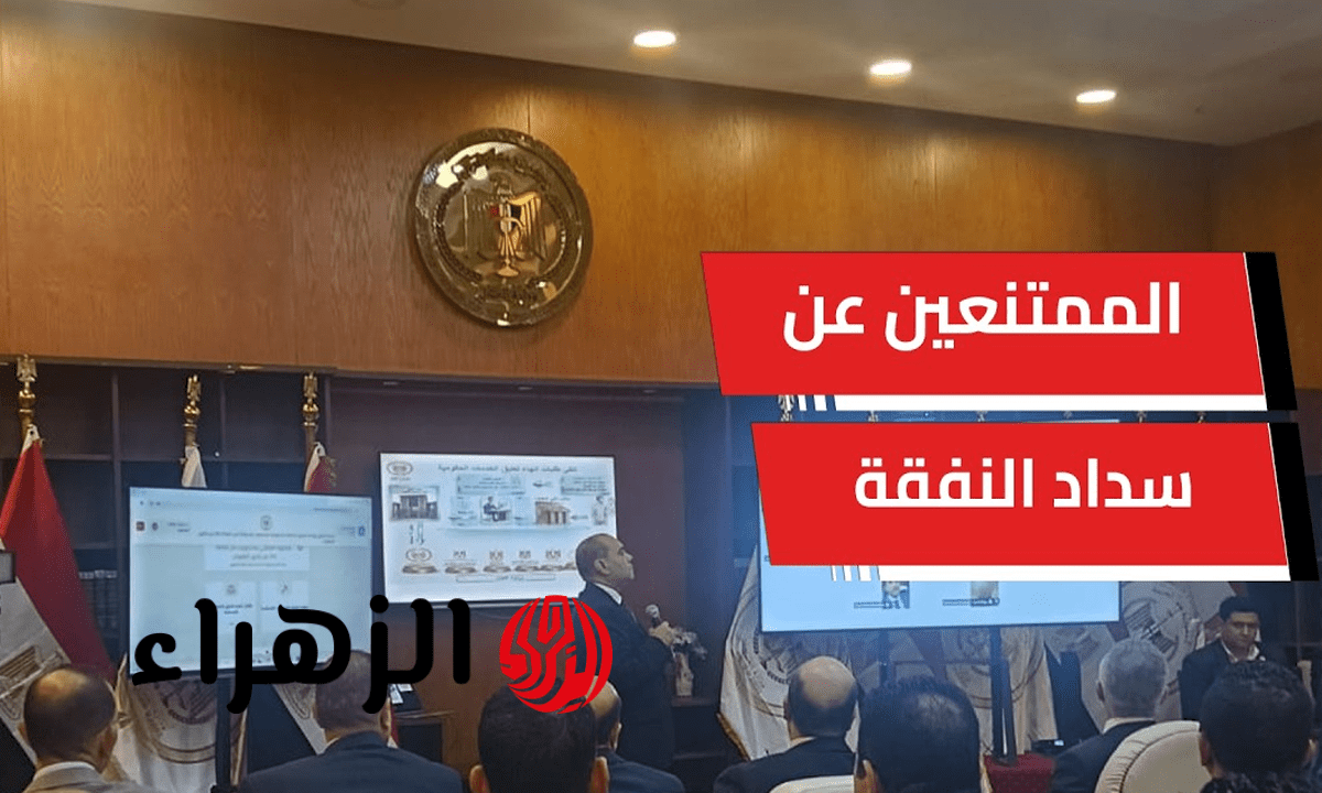 بدء تطبيق قرار تعليق الخدمات الحكومية للممتنعين عن سداد النفقة رسميا