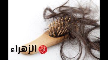 وصفات منزلية لعلاج تساقط الشعر بمكونات من مطبخك.. “هتشوفي النتيجة من أول استخدام”