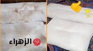 هترجع جديدة من تاني.. أسرع طريقة لتنظيف المخدات بدون غسيل في دقائق