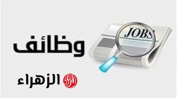 جامعة القاهرة تعلن توفير فرص عمل للخريجين بجميع التخصصات وتوضح الشروط وموعد التقديم