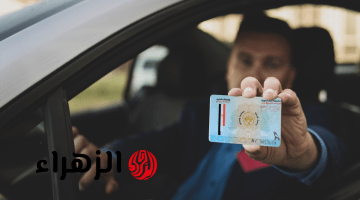 خطوات تجديد رخصة القيادة أونلاين في مصر واستلامها من المنزل
