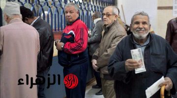 التأمينات تكشف حقيقة رفع سن المعاش إلى 61 عامًا يوليو المقبل 2026