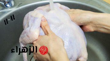 مش هتستغني عنها.. خلطة سحرية هتخلصك من زفارة الفراخ بـ 3 مكونات فقط