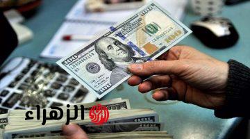 الأخضر وصل كام؟.. سعر الدولار مقابل الجنيه المصري اليوم الاثنين 27 أبريل 2026 في البنوك