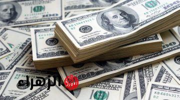 تحديث لحظي.. سعر الدولار الآن في مصر بمنتصف تعاملات اليوم الاثنين بالبنك الأهلي ومصر