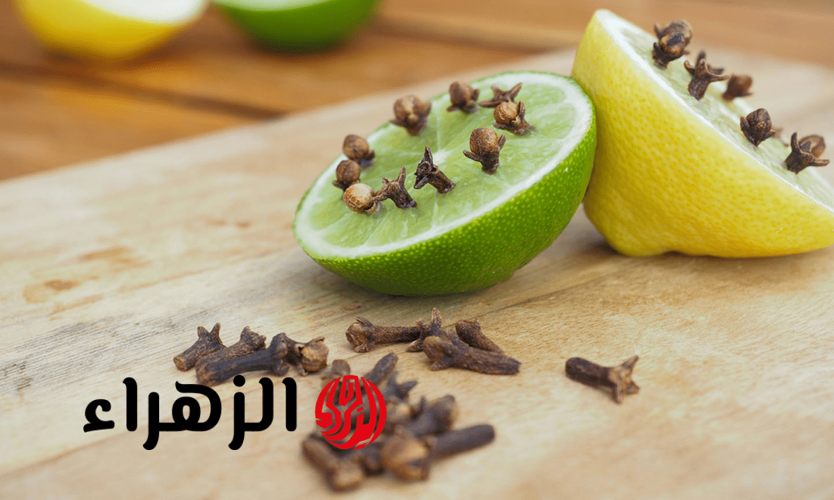 3 حلول طبيعية لطرد الناموس من المنزل بطريقة آمنة على الأطفال والبيئة