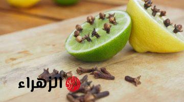 مش هترميه تاني.. طريقة استخدام قشر الليمون لطرد الناموس والدبان من المنزل