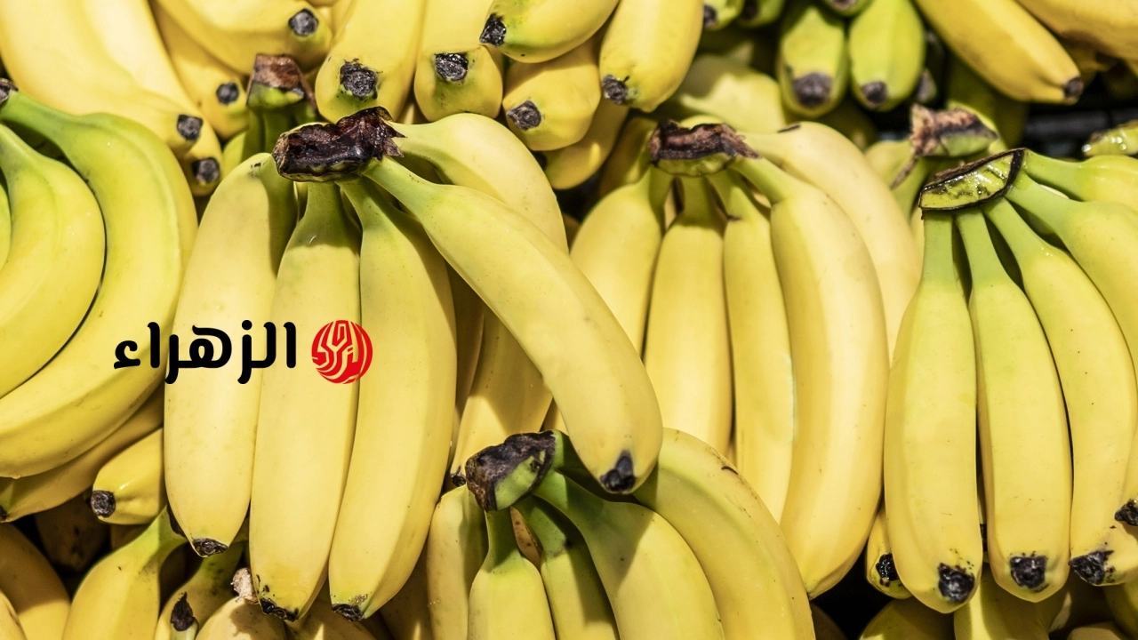 ماذا يحدث لجسمك عند تناول ثمرة موز ليلاً؟