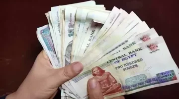 بأمر الرئيس السيسي.. صرف 1500 جنيه للعمالة غير المنتظمة في هذا الموعد