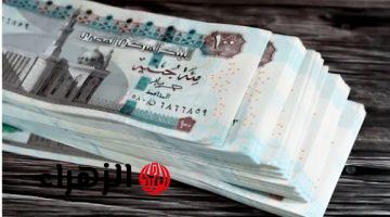 موعد صرف معاشات مايو 2026 وخطوات الاستعلام عبر الموقع الرسمي للتأمينات الاجتماعية