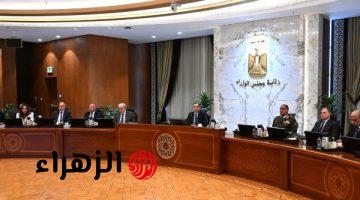 وزارة البترول تعلن خطة استكشاف 101 بئر لعام 2026
