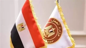 وزارة العمل تطرح وظائف جديدة للمواطنين في عدد من التخصصات