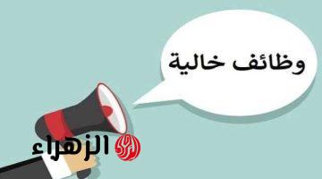 وزارة العمل تعلن عن فتح باب التقديم لوظائف جديدة برواتب تصل إلى 19 ألف جنيه