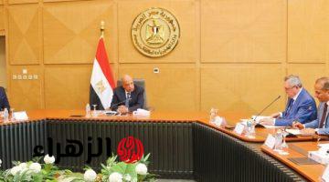 وزير الكهرباء يبحث مع لجنة الطاقة بالدوما الروسي تطورات تنفيذ مشروع محطة الضبعة النووية