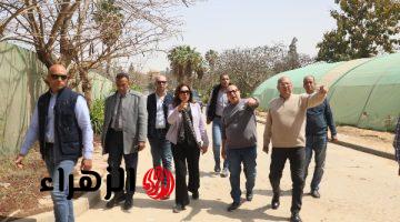 وزيرة التنمية المحلية تتفقد المشتل المركزي للوزارة بالقاهرة الجديدة