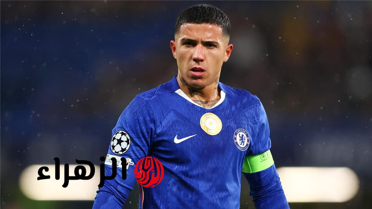 وكيل إنزو فرنانديز يهاجم تشيلسي ويرفض عقوبة إيقافه بسبب ريال مدريد