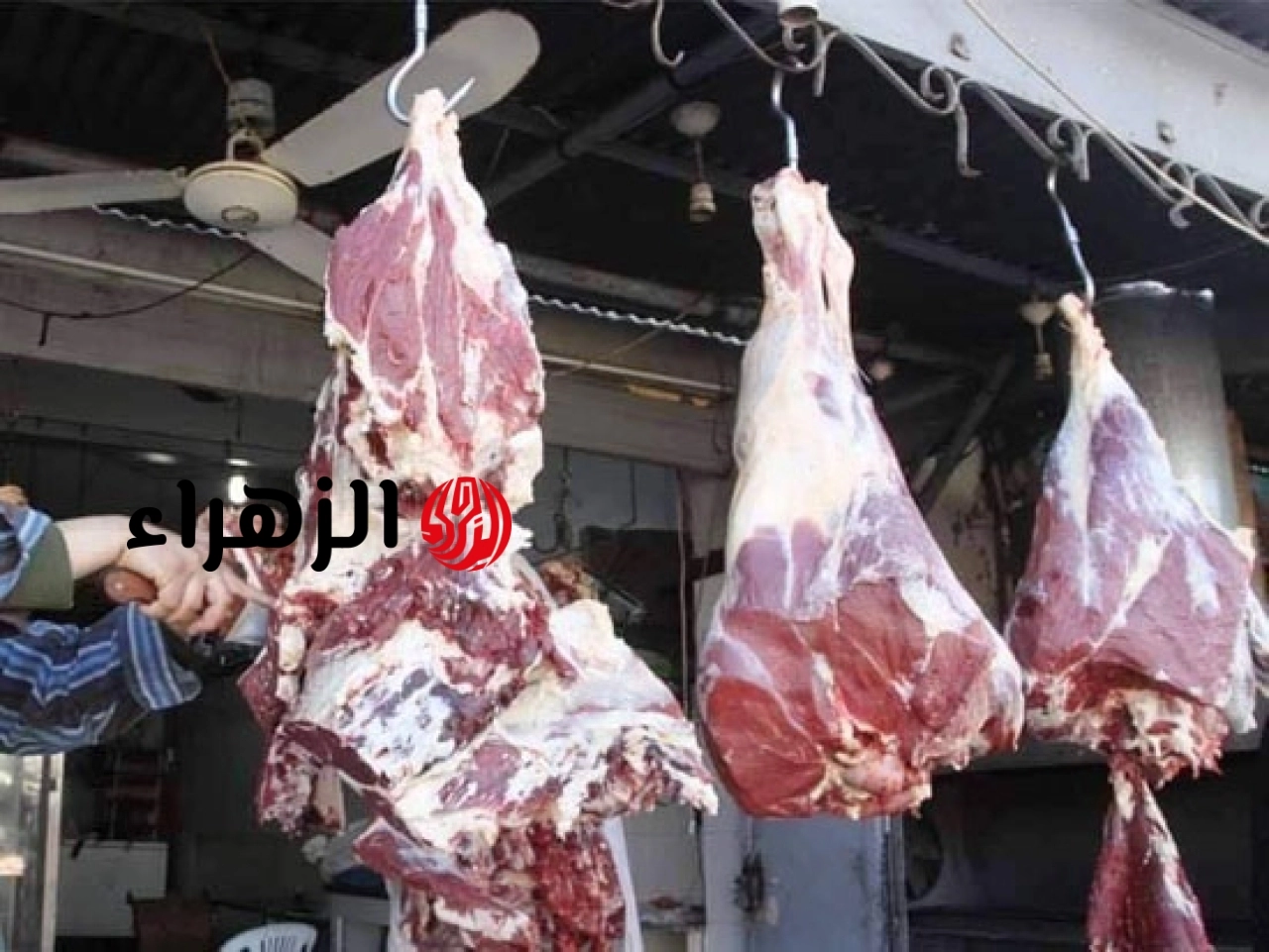 تبدأ من 260 جنيهاً للكيلو.. أسعار اللحوم في شوادر التموين اليوم