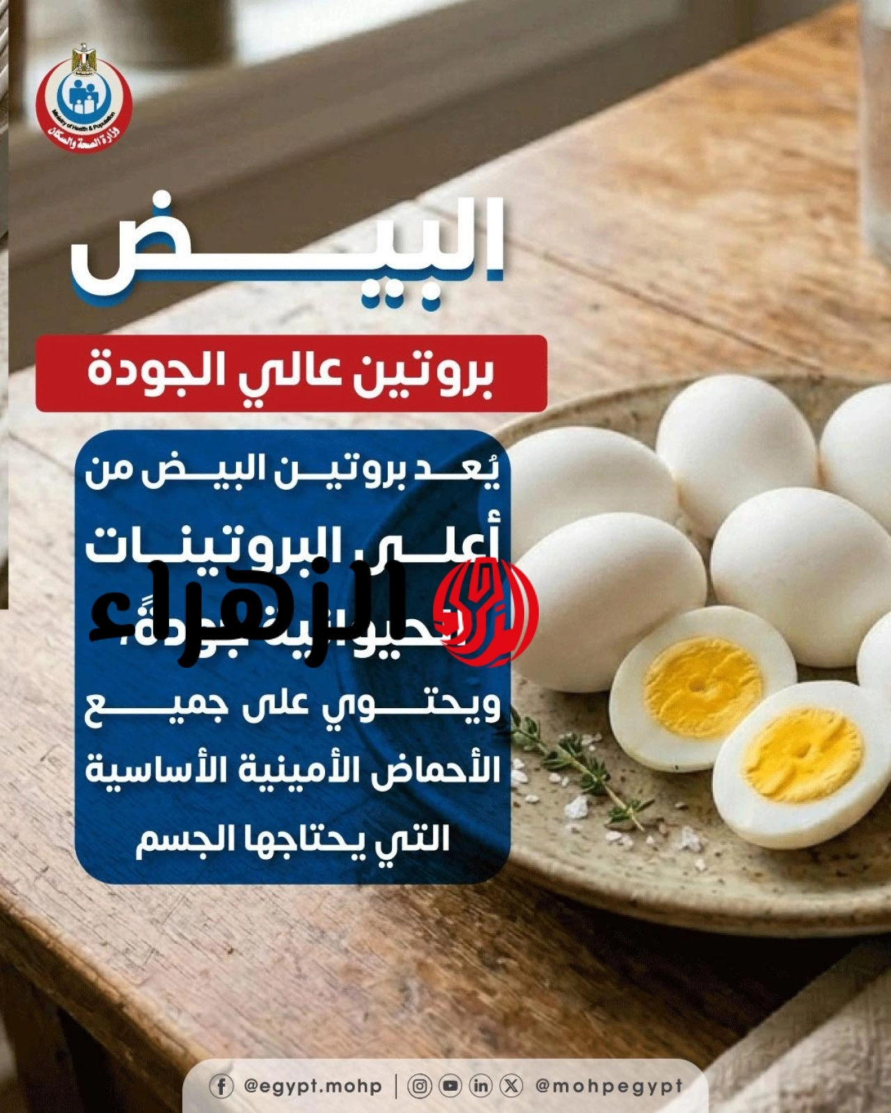 كنز غذائي متكامل.. وزارة الصحة تكشف الفوائد المذهلة لتناول البيض 6 173268