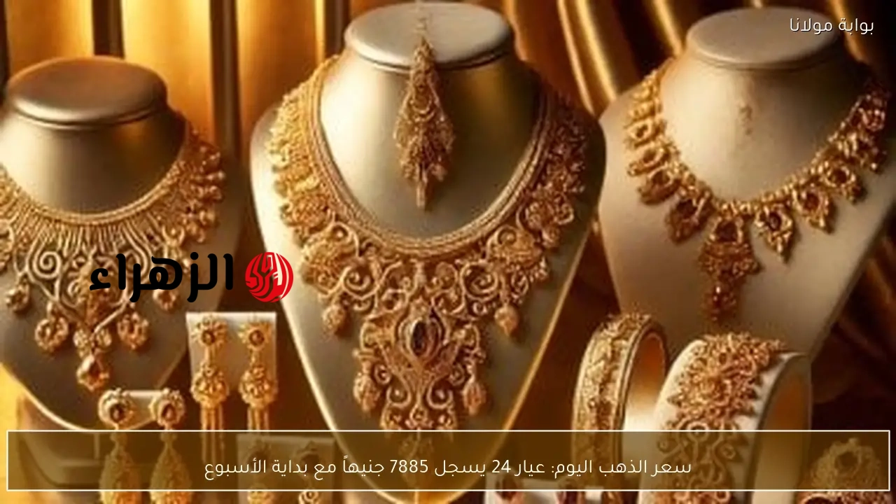 سعر الذهب اليوم: عيار 24 يسجل 7885 جنيهاً مع بداية الأسبوع