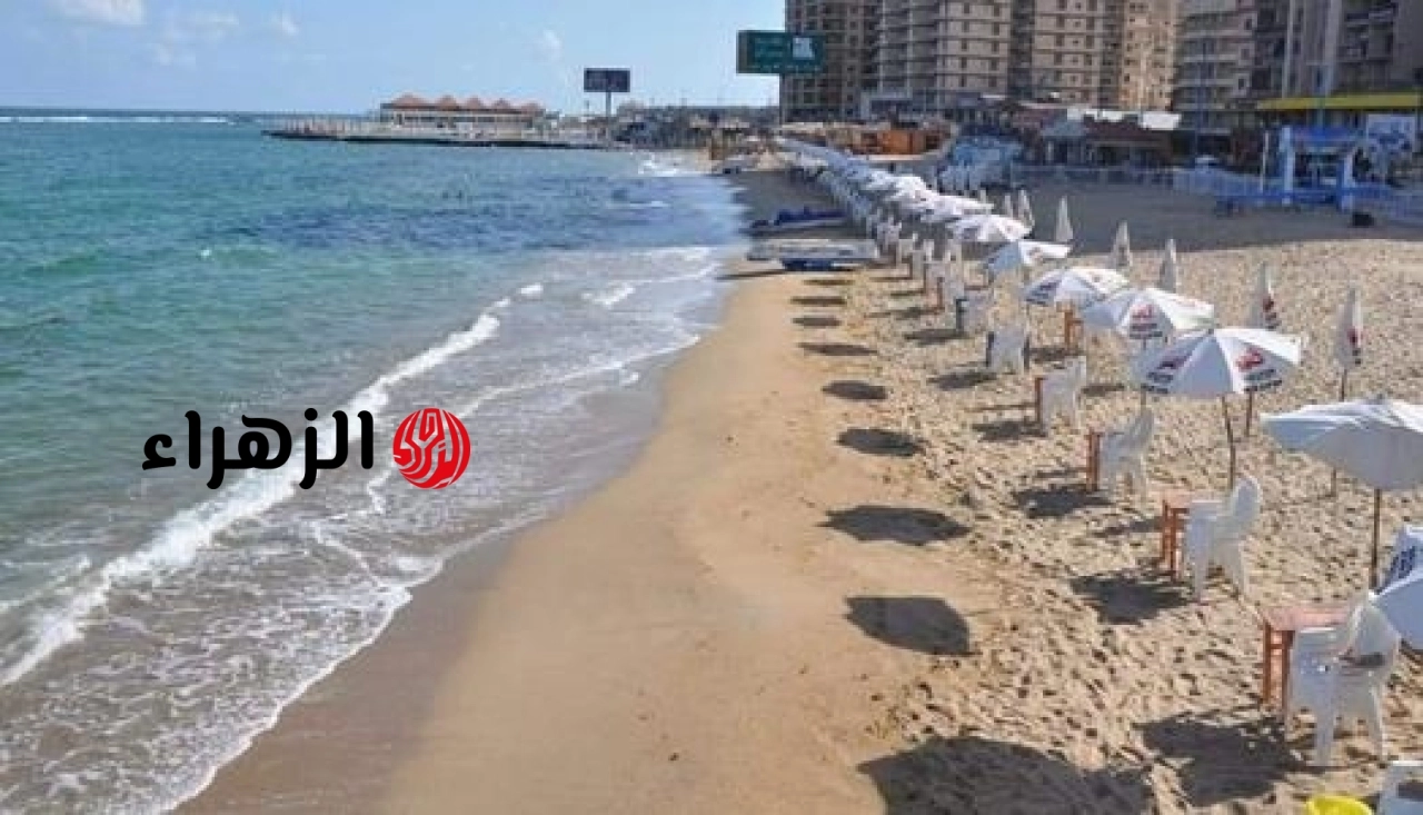 الشواطئ الممنوعة بالإسكندرية.. تحذير عاجل من 10 مناطق صخرية خطيرة وتجهيز 43 شاطئاً بديلاً للمصطافين