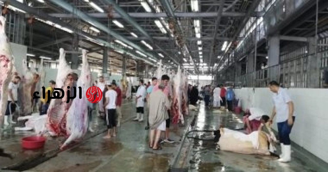 تحت إشراف بيطري كامل..الزراعة تعلن فتح المجازر مجاناً لاستقبال الأضاحي طوال أيام العيد