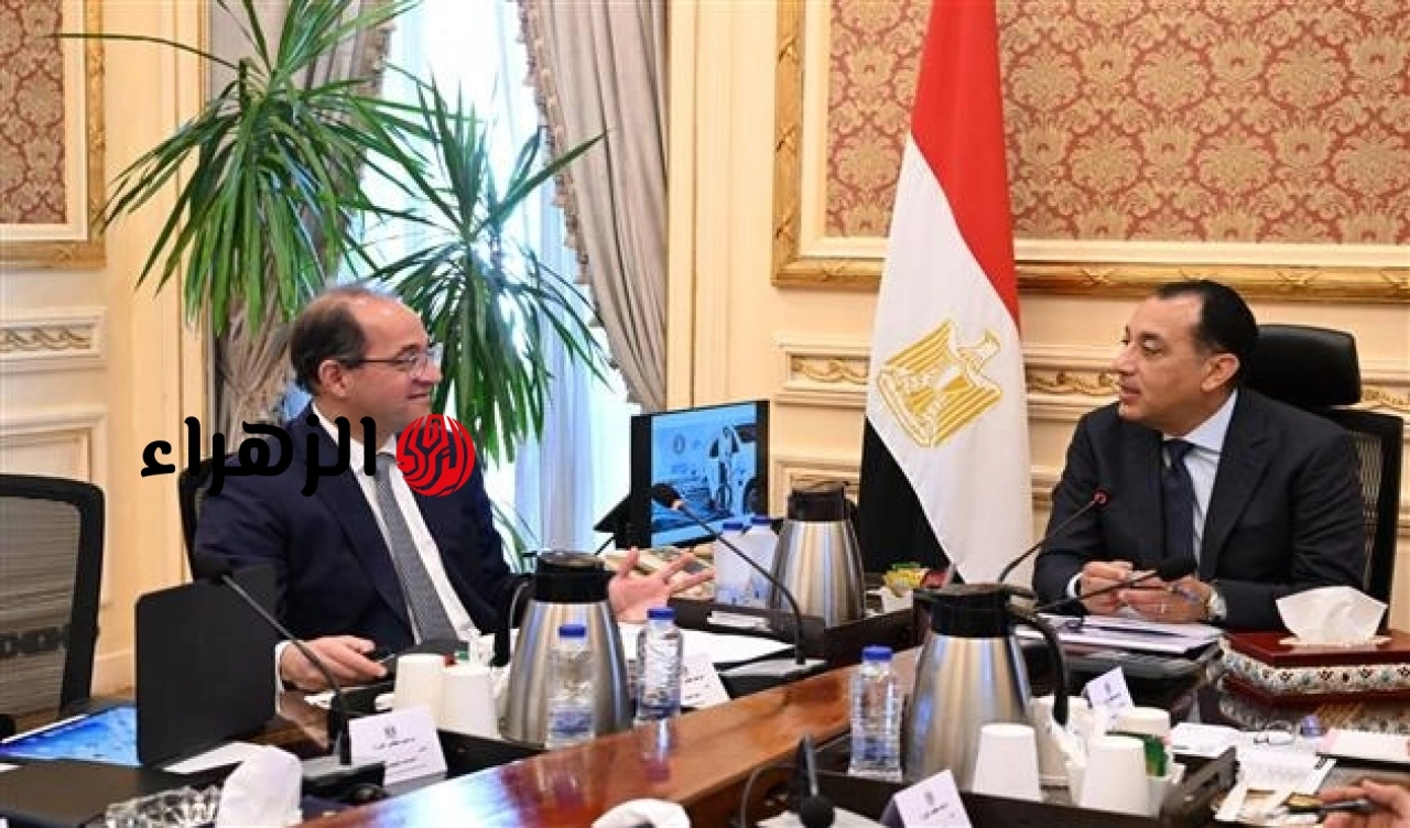لتقليل فاتورة الاستيراد.. قرار عاجل من رئيس الوزراء بتحويل سيارات الحكومة إلى كهربائية لترشيد الإنفاق