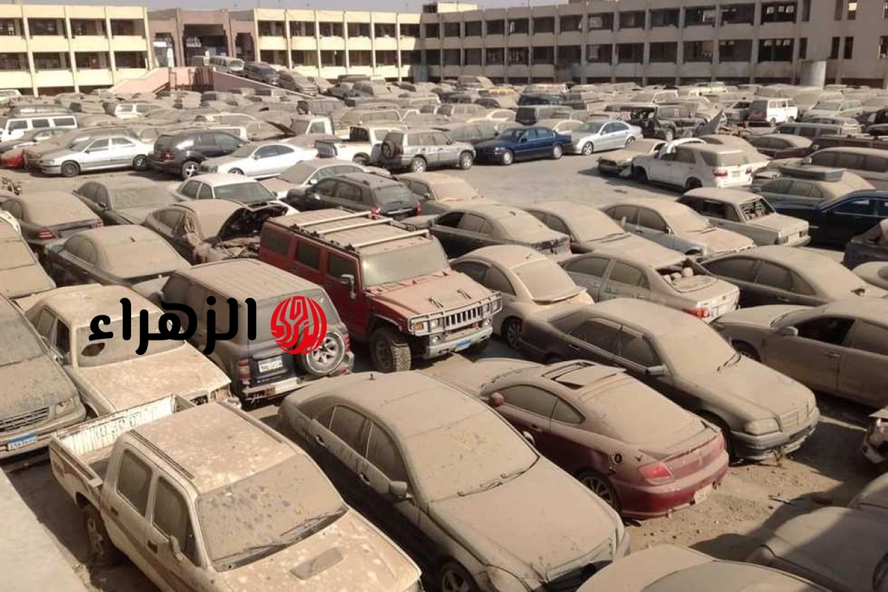 مزاد حكومي ضخم لبيع سيارات جمارك القاهرة والسويس.. الشروط والأنواع وموعد الجلسة