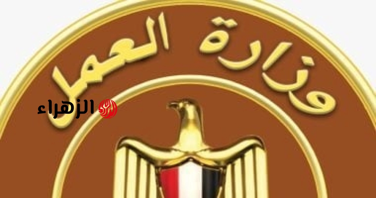براتب 13 ألف جنيه.. وزارة العمل تكشف عن فرص شاغرة في قطاع النقل
