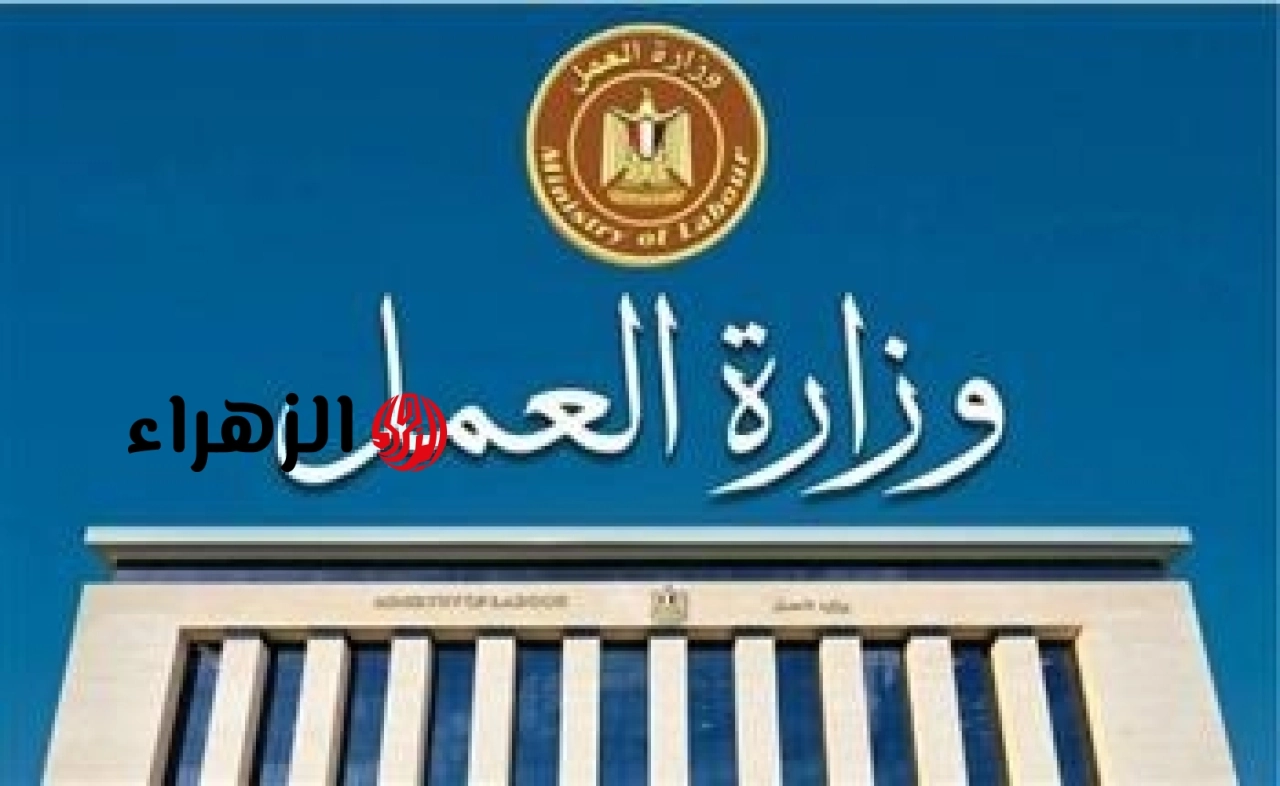 برواتب تصل إلى 25 ألف جنيه.. وزارة العمل تعلن عن 296 وظيفة جديدة بالسويس (تفاصيل وشروط التقديم)
